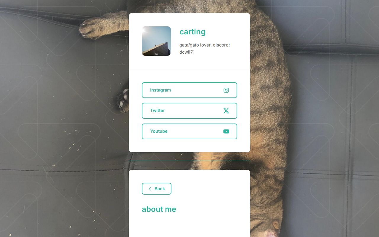 Carrd profile picture for @carting